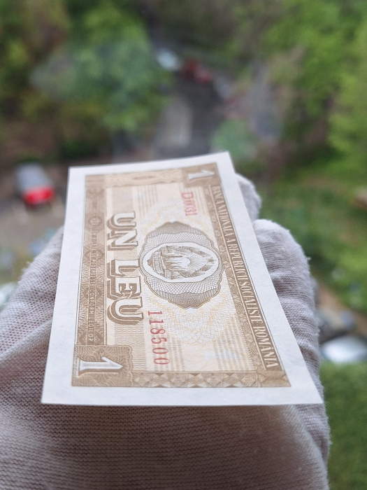 Romania 1 leu 1966, seria D.0031/118500, UNC- [8]