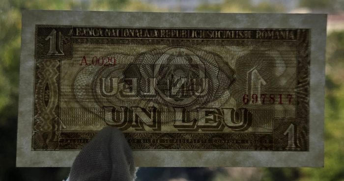 Romania 1 leu 1966, seria A.0029/697817, necirculata [4]