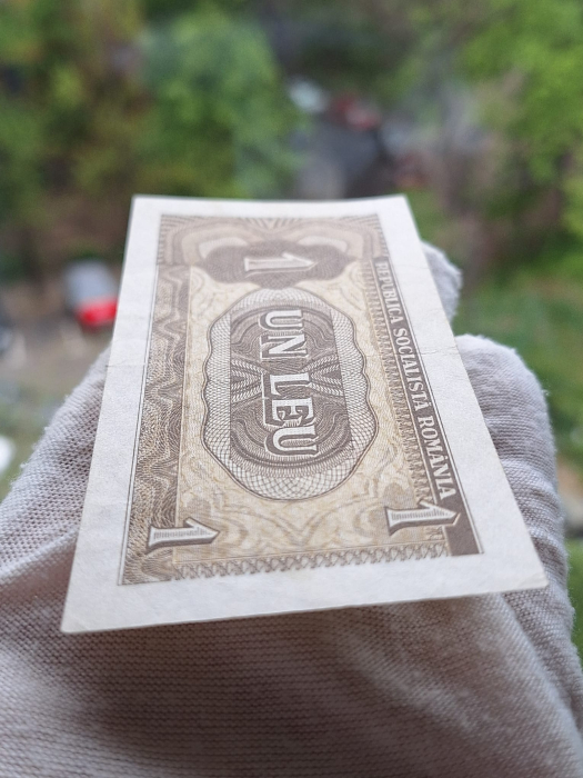 Romania 1 leu 1966, seria E.0026/732353, circulata, stare buna [5]