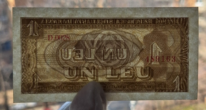 Romania 1 leu 1966, seria D.0028/489163, necirculata [3]
