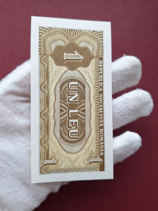 Romania 1 leu 1966, seria F.0029/630885, necirculata [8]