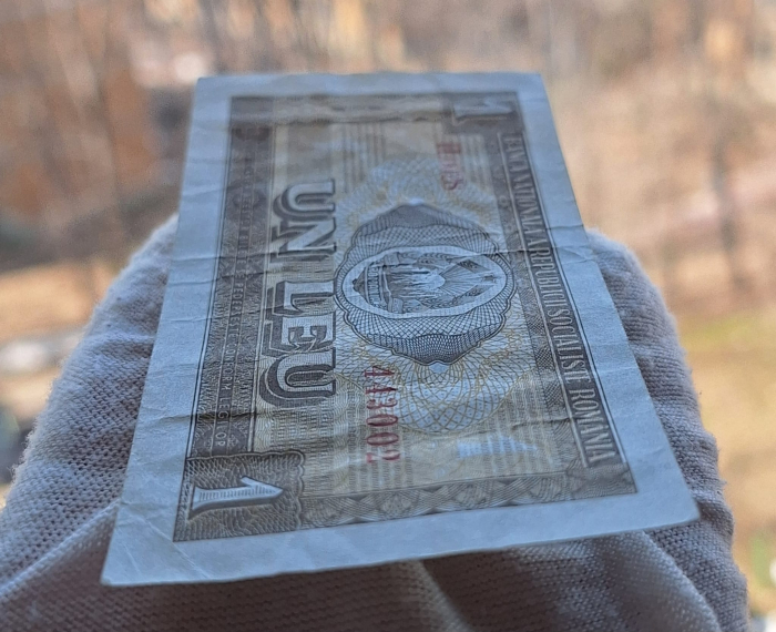 Romania 1 leu 1966, seria H.0028/443002, circulata, stare buna [4]