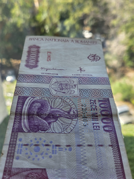 Romania, 10000 lei 1994, seria E.0025/225405, circulata [5]
