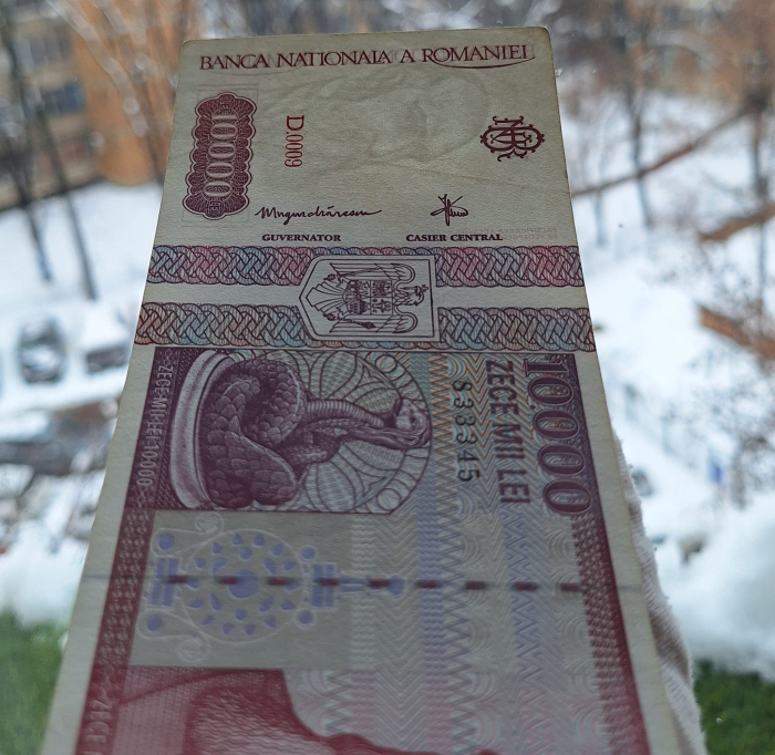 Romania, 10000 lei 1994, seria D.0009/833345, stare buna [7]