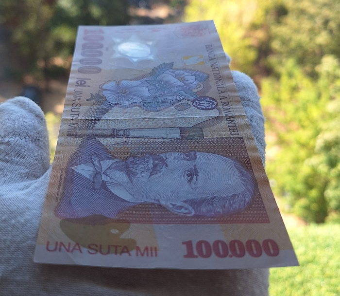 Romania, 100000 lei 2001, seria 034D5964825, circulata [4]