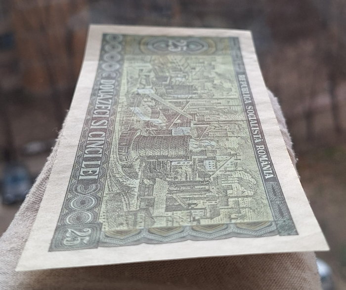 Romania 25 lei 1966, seria B.0120/516592, circulata [5]