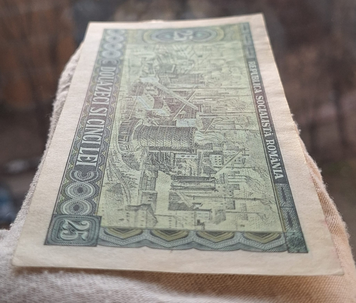 Romania 25 lei 1966, seria F.0119/231838, aproape necirculata [4]