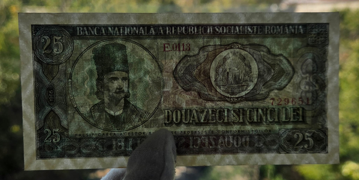 Romania 25 lei 1966, seria E.0113/729651, UNC- [3]
