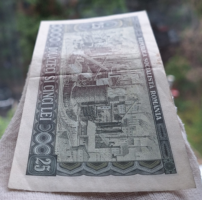 Romania 25 lei 1966, seria G.0004/500235, circulata [5]