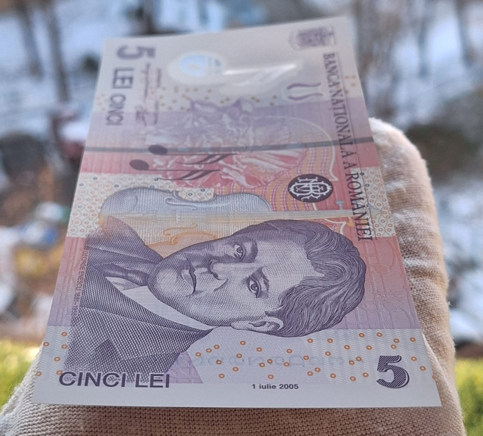 Romania 5 lei 2013, seria 135D9295756, UNC- [3]