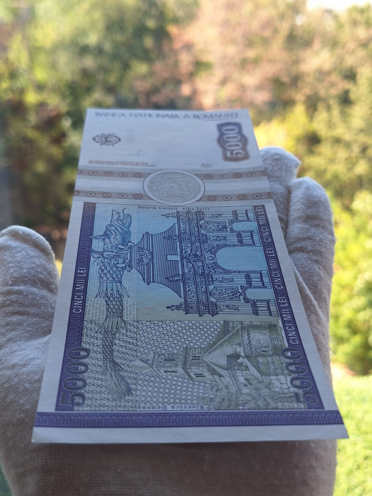 Romania, 5000 lei 1993, seria E.0030/620009, necirculata [7]