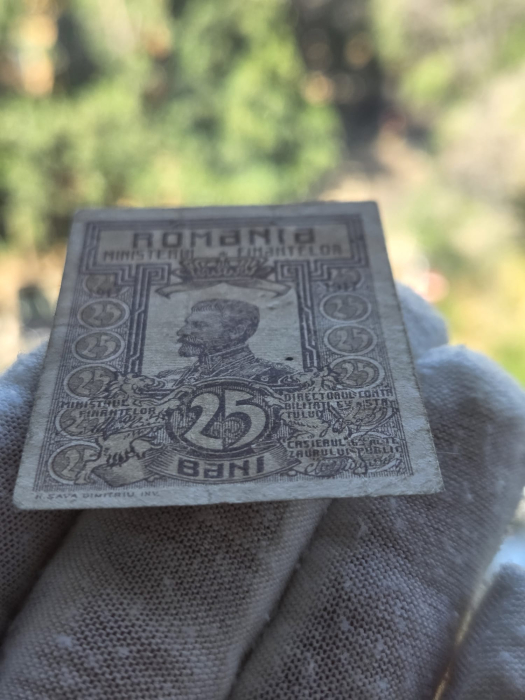 Romania, set 3 bancnote: 10 Bani, 25 Bani, 50 Bani 1917, Regele Ferdinand I [6]
