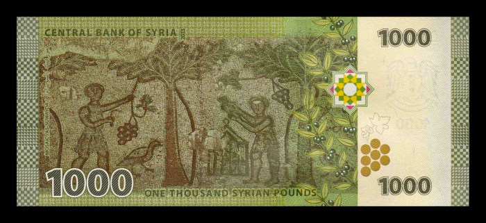 Siria 1000 Lire 2013, necirculata [2]