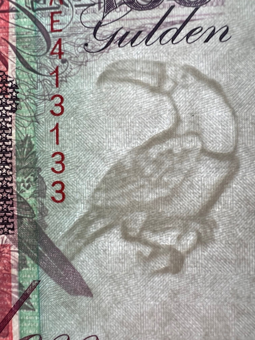 SURINAM 100 gulden 1998, filigran papagal, necirculata [2]