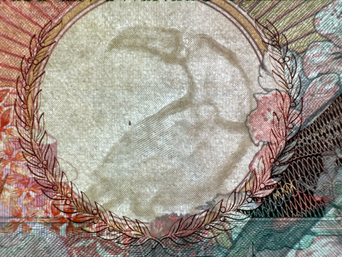 SURINAM 25 gulden 1988, filigran papagal, necirculata [2]