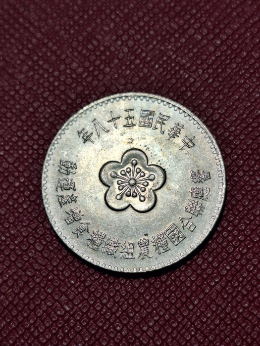 Taiwan 1 dolar 1969, rara [2]