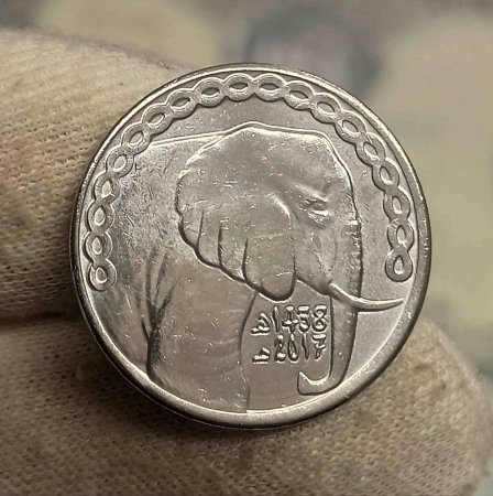Monede Africa - Algeria 5 Dinari 2017 Elefantul, Unc