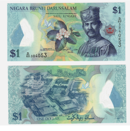 Brunei - BRUNEI 1 Dolar 2019, polimer, necirculata