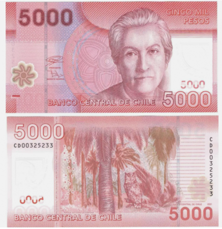 Chile - Chile 5000 Pesos 2021, polimer, necirculata