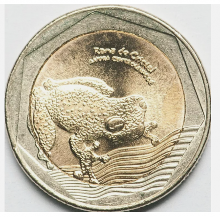 Monede America - Columbia 500 pesos 2012 Broasca, UNC