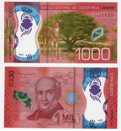 Bancnote America - Costa Rica 1000 Colones 2019, polimer, necirculata