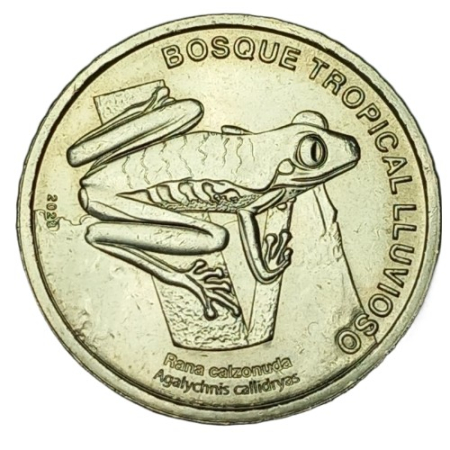 Monede - Costa Rica 50 Colones 2023, Broasca de copac cu ochii rosii, UNC
