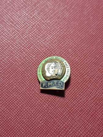 Insigne/Medalii/Decoratii - INSIGNA FMTD - Tineri uniti-va inainte pentru pace