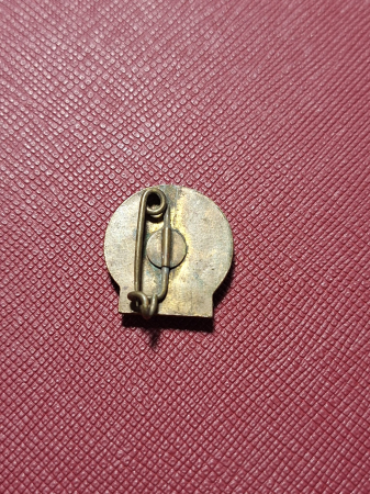 INSIGNA FMTD - Tineri uniti-va inainte pentru pace [1]