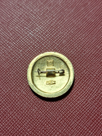 INSIGNA RUSEASCA - ORASUL SHUYA ( reg Ivanovo Oblast) [1]