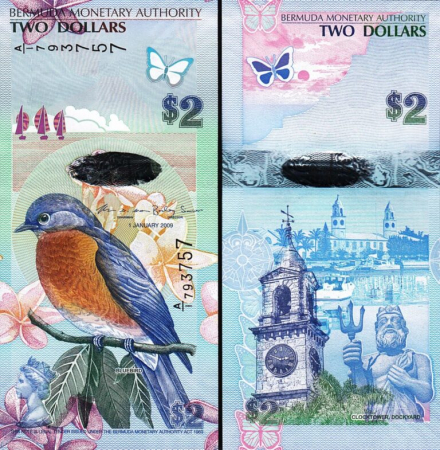Insulele Bermude - Insulele Bermude 2 Dolari 2009, pasarea albastra, bancnota Hybrid, Aunc
