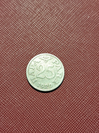 Monede - Iugoslavia 25 Para 1920, Peter I