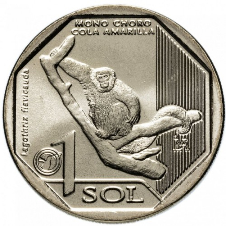 Monede - Peru 1 sol 2019, Maimuta cu coada galbena, UNC