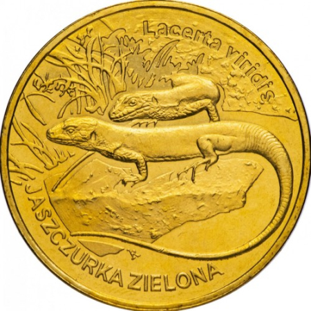 Monede straine - Polonia 2 zloti 2008, Șopârla verde europeană, UNC