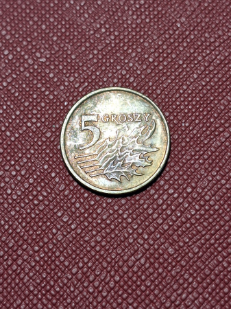 Polonia 5 groszy 1998 [1]
