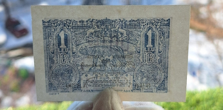 Romania, 1 leu 1920, Lupoaica, necirculata [3]