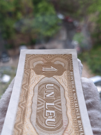 Romania 1 leu 1966, seria D.0031/118500, UNC- [4]