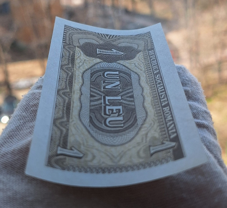 Romania 1 leu 1966, seria D.0028/489162, necirculata [5]