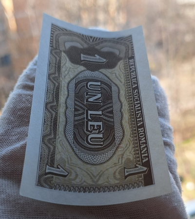 Romania 1 leu 1966, seria D.0028/489162, necirculata [4]