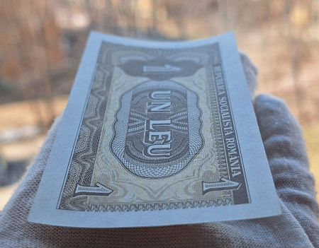 Romania 1 leu 1966, seria D.0028/489163, necirculata [4]