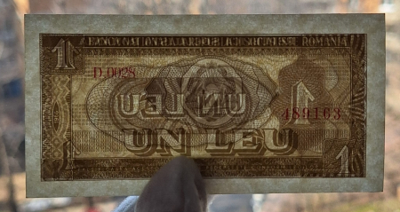 Romania 1 leu 1966, seria D.0028/489163, necirculata [2]