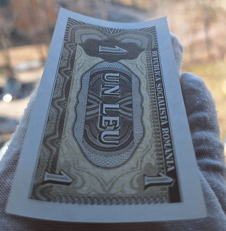 Romania 1 leu 1966, seria D.0028/489163, necirculata [3]