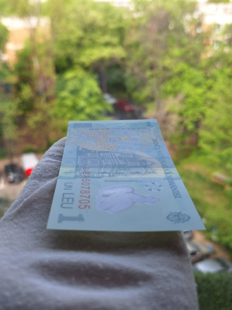 Romania 1 leu 2024, SERIE RADAR: 248P5078705, polimer, necirculata [2]