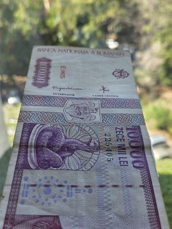 Romania, 10000 lei 1994, seria E.0025/225405, circulata [4]