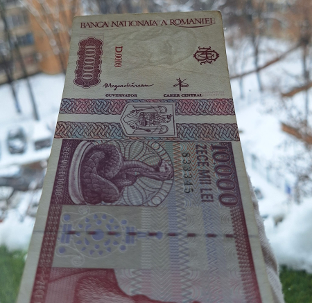 Romania, 10000 lei 1994, seria D.0009/833345, stare buna [6]
