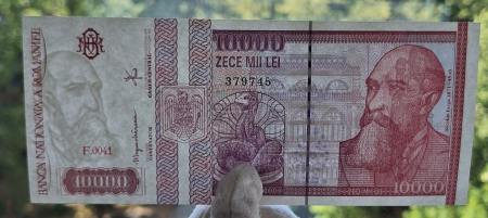 Romania, 10000 lei 1994, necirculata [8]