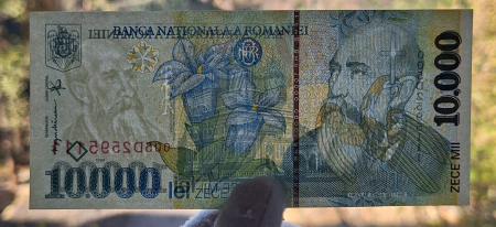 Romania, 10000 lei 1999, seria 005D2595111, necirculata [2]