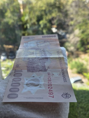 Romania, 100000 lei 2001, seria 041C8202497, circulata, stare buna [3]