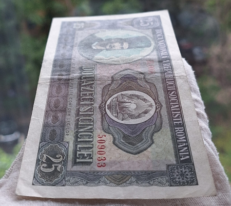 Romania 25 lei 1966, seria H.0006/509033, circulata [4]