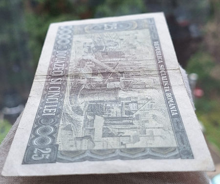 Romania 25 lei 1966, seria H.0006/509033, circulata [3]