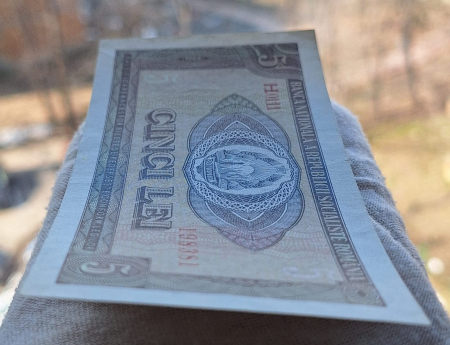 Romania 5 lei 1966, seria H.0111/198381, circulata, stare buna [4]